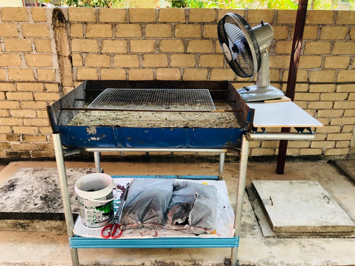 Homestay Tok Abah Dalam Rhu Pasir Puteh Bagian luar foto